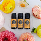 Edens Garden Citrus Cream Essential Oil Blend- 100% Pure Premium Grade - Image 2