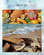 M&SENSE Ocean Scented Candles, Vegan Soy Candles, 8.1oz 42-Hour Slow Burning - Image 3