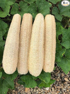 Natural Loofah Sponges Organic Luffa Bath Shower Sponge Exfoliating Body Back by YEMTAL