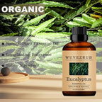 Eucalyptus Essential Oil - 120ML - Image 4