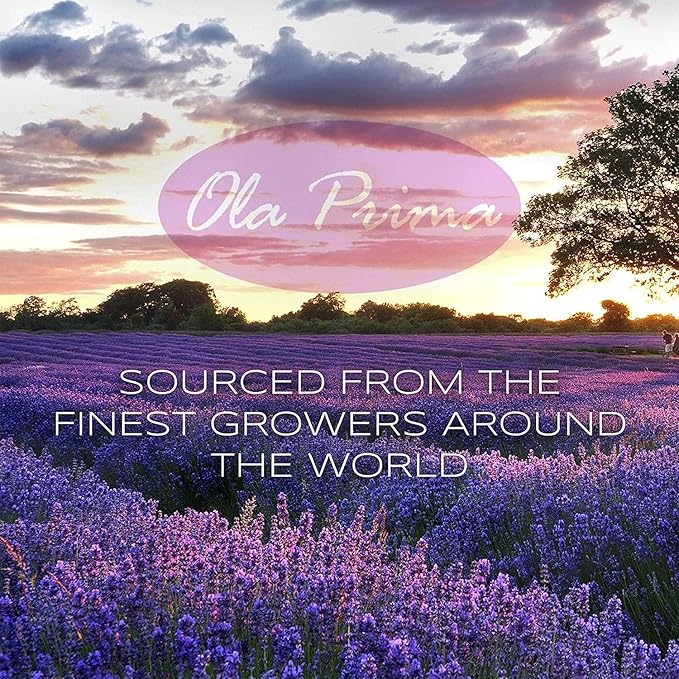 Ola Prima Rosemary Essential Oil - Image 4