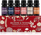 Premium Fragrance Oil Set – Highly Concentrated Scented Oils by FioraNaturals