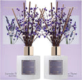 Cocorrína Premium Reed Diffuser Set by COCORR%C3%8DNA