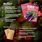 KVITER 175 Long Purple Eggplant Seeds – Asian Eggplant, Dark Purple Italian Egg - Image 5
