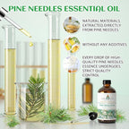 EVOKE OCCU Pine Essential Oil for Diffuser, Fresh Pine Scent for Aromatherapy - Image 9