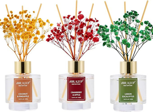 Airkeep Reed Diffuser Set of 3, Coconut Pineapple Lemon Eucalyptus Cranberry by Airkeep