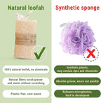 Natural Vietnamese Loofah Sponge, 100% Plant-Based Luffa Exfoliating Body - Image 5