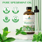 EVOKE OCCU Spearmint Oil for Inhibit Facial Hair Growth, Air Freshening - Image 8