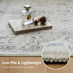 FMFUNCTEX 2x6 Runner Rug Grey Vintage Neutral Washable Distressed Non Slip Low - Image 4