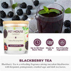Pet House Candles, Scented Pet Friendly Candles, Clean Burning Plant-Based - Image 2