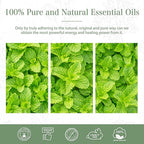 Peppermint Essential Oil, 1.01Fl.Oz PHATOIL Pure Essential Oil Singles - Image 6