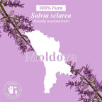 Handcraft Blends Clary Sage Essential Oil – 1 Fl Oz – 100% Pure and Natural – - Image 8