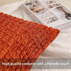 Aegero Pack of 2 Corduroy Decorative Throw Pillow Covers 18x18 Inch Fall Soft - Image 2
