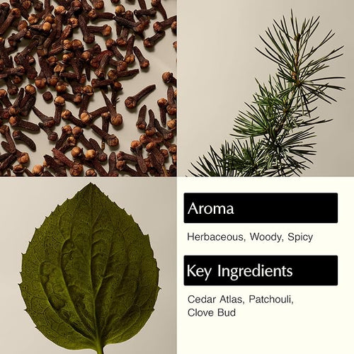Aesop Eleos Nourishing Body Cleanser | Moisturizing Body Wash - Image 2