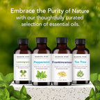 Majestic Pure Essential Oil - Image 6