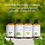 Majestic Pure Essential Oil - Image 3