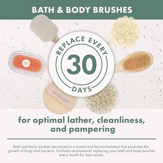 EcoTools Dry Body Brush, for Post Shower & Bath Skincare Routine, Removes Dirt - Image 11