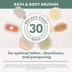EcoTools Dry Body Brush, For Post Shower & Bath Skincare Routine, Removes Dirt - Image 12