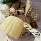 Natural Shower Loofah Sponge, Bath Exfoliating Loofa Body Scrubber, 5.5 “Soft - Image 4