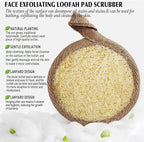YIQINGJIE Natural Loofah Exfoliating Face Scrubber, Facial Scrubber Loofa Pads - Image 4