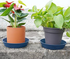 Plant Saucer 6 Inch 4 Pack 6 8 10 12 14 16 18 20 25, Plastic Plant Trays - Image 5