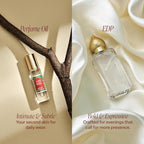 Nemat International Amber Perfume Oil Roll-On – Long Lasting Alcohol Free Amber - Image 6