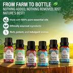 GuruNanda Essential Oil Blends – 6 Pack, Breathe Easy, Tranquility, Relaxation - Image 3