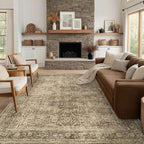 FMFUNCTEX 8x10 Washable Area Rug Brown Vintage Neutral Distressed Large Non by Fmfunctex