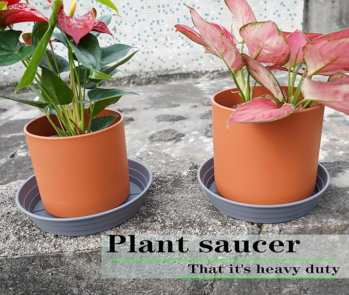 Plant Saucer 8 Inch 4 Pack 6 8 10 12 14 16 18 20 25, Plastic Plant Trays - Image 3