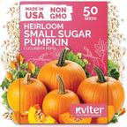 KVITER 50 Sugar Pumpkin Seeds Organic – Small Pumpkin Heirloom Seed, Sweet by KVITER