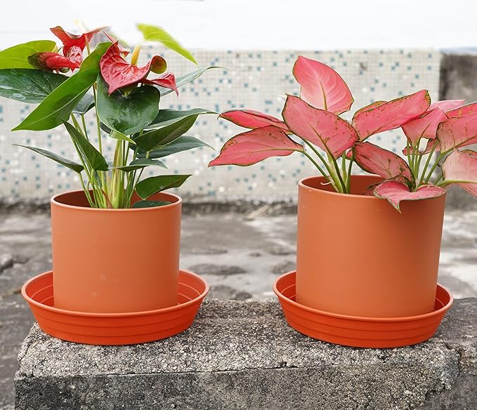 Plant Saucer 8 Inch 4 Pack 6 8 10 12 14 16 18 20 25, Plastic Plant Trays - Image 3