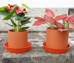 LWALRS Plant Saucer 14 Inch 2 Pack 6 8 10 12 14 16 18 20 25, Plastic Plant Trays - Image 3