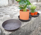 LWALRS Plant Saucer 14 Inch 4 Pack 6 8 10 12 14 16 18 20 25, Plastic Plant Trays - Image 6