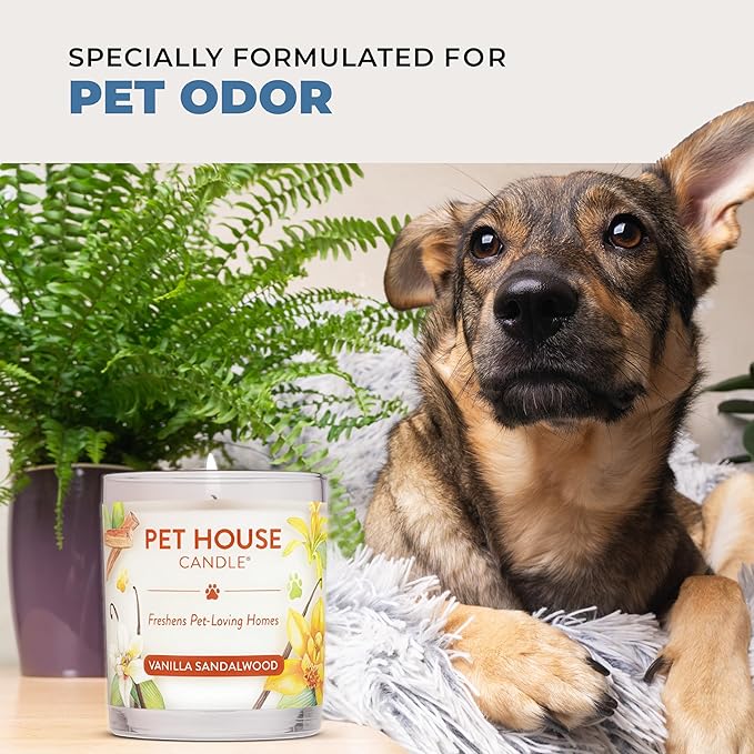 Pet House Candles, Plant-Based, Clean Burning, Long Lasting Scented Candles - Image 5