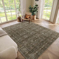 Washable 6x9 Area Rugs for Living Room, Boho Non-Slip Vintage Distress Large by Hedwior
