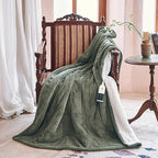 Texciting Heated Blanket Electric Blanket Throw 50''X60''-Heating Throw - Image 3