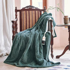 Texciting Heated Blanket Electric Blanket Throw 50''X60''-Heating Throw - Image 3