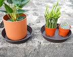 LWALRS Plant Saucer 14 Inch 4 Pack 6 8 10 12 14 16 18 20 25, Plastic Plant Trays - Image 3