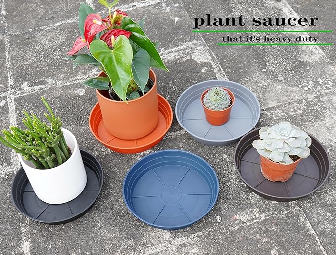 Plant Saucer 8 Inch 4 Pack 6 8 10 12 14 16 18 20 25, Plastic Plant Trays - Image 7
